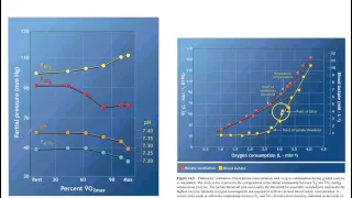 respiration under arbejde