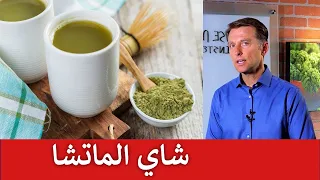شاي الماتشا بديلا للقهوة | مسحوق أوراق الشاي الأخضر