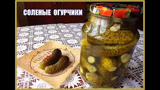 Самые лучшие  сорта огурцов для засолки на зиму.