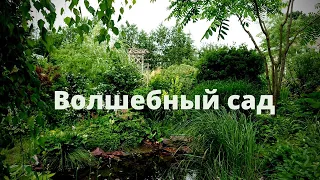 Обзор сада  - история волшебного сада и прогулка по 30-летнему саду! (Московская область)