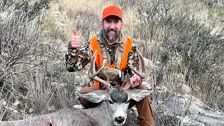 Public Land Mule Deer Hunt - New Mexico