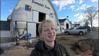 Installing a new manure system in the main barn…