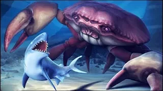 Как убить гигантского краба в игре Hungry Shark Evolution?  [Белая Акула]