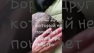 друг не понимающий рофла про гейство