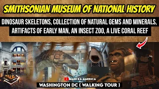 Natural History Museum |  Dinosaur Exhibit | Walking Tour in 4K Washington| Hope Diamond | English