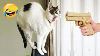 New Funny Animals 2023 😂 Funniest Cats and Dogs Videos #131