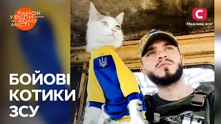 Украинские защитники – главный тренд украинского TikTok – Ранок у великому місті 2023