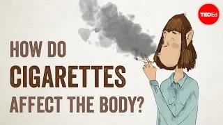 How do cigarettes affect the body? - Krishna Sudhir