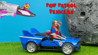 Assistant Hunts for Paw Patrol Mighty Pups Movie Character Skye & Chase