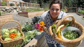 A Beautiful Homegrown Harvest | From Garden to Plate