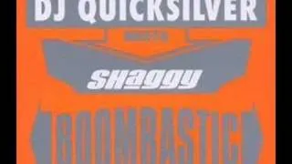 Dj Quicksilver Meets Shaggy - Boombastic (Epic Mix)