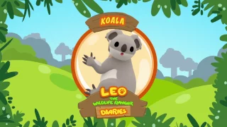 Koala - Leo The Wildlife Ranger Animal Diaries | Animal Facts for Kids