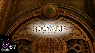 Глаз | Ню и Zetsu | Hogwarts Legacy №67