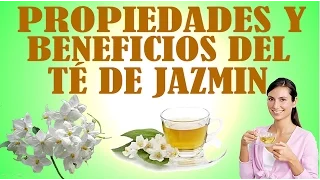 Propiedades y Beneficios del te de [ Jazmín ]