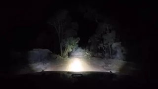 Pilliga Scrub 3.00 am part 2