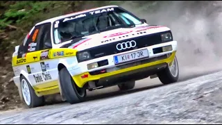 Audi Coupé Quattro RALLYCAR Typ 85 | Horst Stürmer