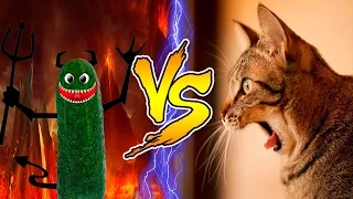 СМЕШНЫЕ КОТЫ ПОД МУЗЫКУ 2017 ЛУЧШИЕ ПРИКОЛЫ С КОТАМИ ПОД МУЗЫКУ 2017 FUNNY CATS Новая подборка #12