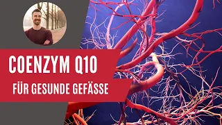 Gesunde Gefäße 🫀 Coenzym Q10 im Fokus  [Ausschnitt Nährstofftherapie Kongress]