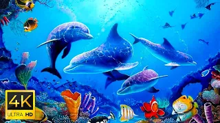 Aquarium 4K VIDEO ULTRA HD 🐠 Sea Animals With Relaxing Music - Rare & Colorful Sea Life Video #5