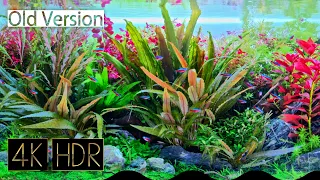 [Old Ver.] Beautiful Water Plant Aquarium Video • Fixed 3hours 4K HDR 60fps • Water sound ♯004