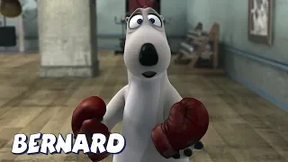 Bernard Bear | Boxing Gloves? AND MORE | Cartoons for Children