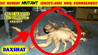 HAQIQIY MUTANT JONZOTLAR | QIZIQARLI FAKTLAR | QIZIQARLI MALUMOTLAR [TOP] Bu Qiziq #qudrati