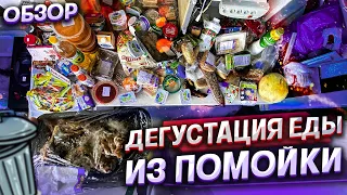 ЕДА из ПОМОЙКИ 12 | МНОГО ПЛЕСЕНИ !! #помойкакормит