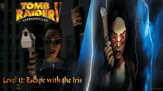 Tomb Raider 5: Chronicles-Level 12: Escape with the Iris