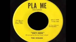The Oceans - She's Gone