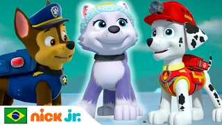 Patrulha Canina | A nova filhote! | Nick Jr. em Português