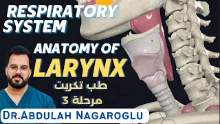 Larynx Anatomy | Respiratory system | شرح الحنجرة | طب تكريت مرحلة 3