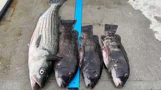 Fishing the upper bay with an old friend