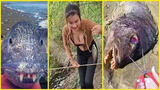 Catching Seafood 🦂🦀🐙 ASMR Relaxing 🦈Catch Shark 🐟 Catch Fish 🐠Deep Sea Monster (Tik Tok #1246)