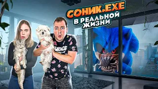 СОНИК.EXE В РЕАЛЬНОЙ ЖИЗНИ В НАШЕМ ДОМЕ С КОТАМИ И СОБАКОЙ