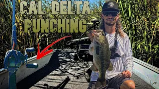 Punching The THICKEST Grass I Can Find | Punching tips and trick | Delta punch fishing