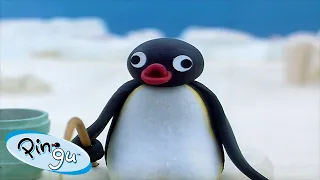 Best Episodes from Season 3 | Pingu - Official Channel | Cartoons For Kids