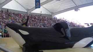 Orca Ocean (Full Show/HD) October 30, 2016 - Loro Parque, Spain