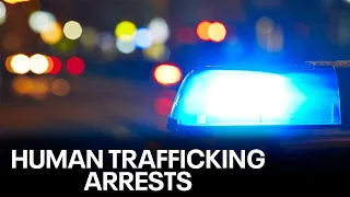 Human trafficking, sex crimes operation yields hundreds of arrests