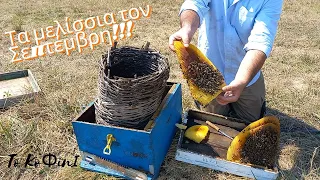 Τα μελίσσια στη βόρεια Ελλάδα | Μελισσοκομία 2023 | Το ΚοΦινΙ