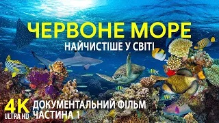 Червоне море - найтепліше та найчистіше на планеті | Документальний фільм про підводні глибини - #1