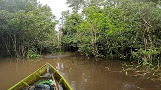 TAPAH BAUNG SUNGAI DAN ULAR DI SAAT AIR DALAM..