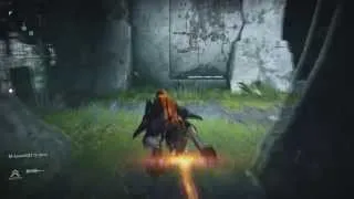 GUARDIAN DOWN! - DESTINY