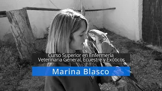 🦉 Marina trabaja como Enfermera Veterinaria en Tierra Rapaz