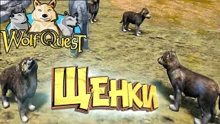 ПЕРВЫЕ ЩЕНКИ - WOLFQUEST #2