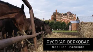 Фильм Русская верховая. Великое наследие