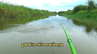 luar biasa!! strike ikan nila disini tidak ada tanding