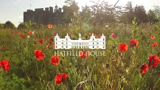 Hatfield House - Explore the Woodland Gardens