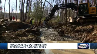 Roads washed out in Wilton after beaver dam collapses