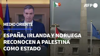 España, Irlanda y Noruega reconocen oficialmente a Palestina como Estado | AFP