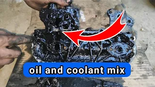 Oil In Coolant What to Check when you find Oil in Antifreeze | Diesel Engine 3L 2L 5L 1C 2C 3C 3B